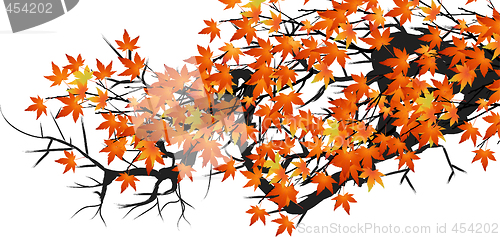 Image of autumn leaves 