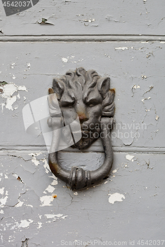 Image of Ancient italian lion shaped door knocker on wooden grey door.