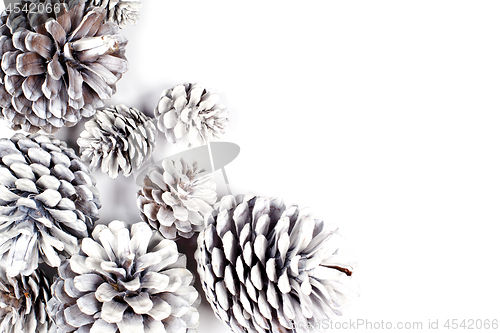 Image of White decorative pine cones closeup on a white background.