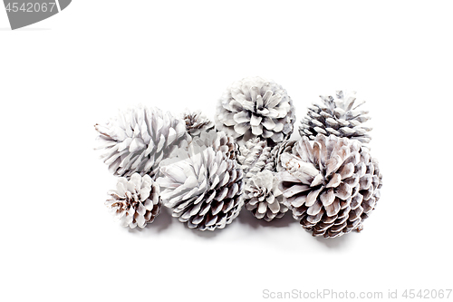 Image of Decorative pine cones closeup on a white background.