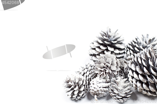 Image of White decorative pine cones closeup on a white background.