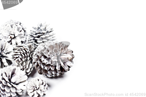 Image of White decorative pine cones closeup on a white background.