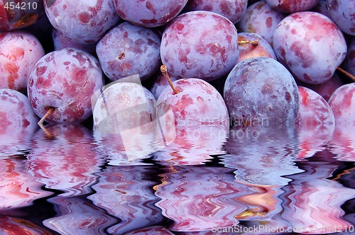 Image of Plum