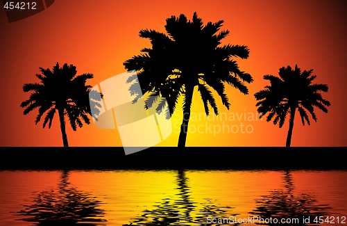 Image of Sunset trees