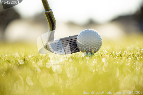 Image of Golf ball on tee in front of driver