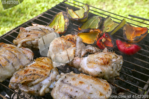 Image of Grilled Vegetables And Poultry