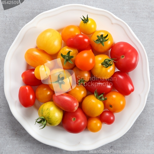 Image of Colorful tomatoes.