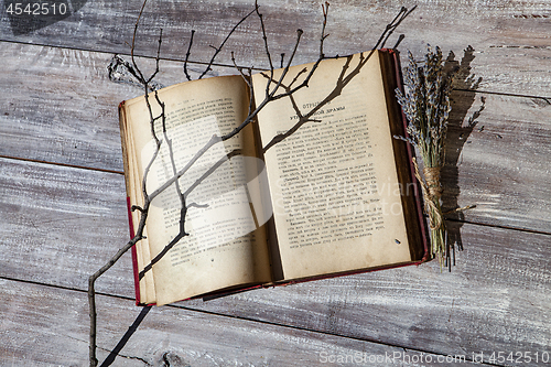 Image of Book And Autumn Leaves