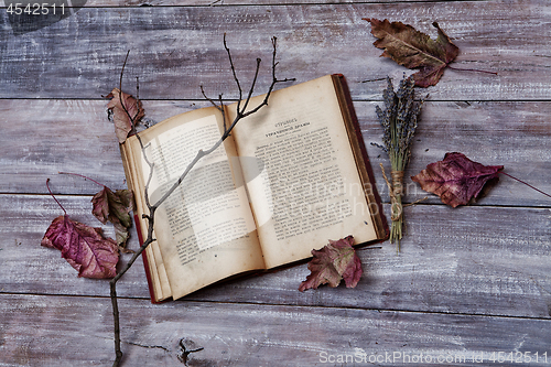 Image of Book And Autumn Leaves