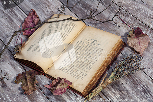 Image of Book And Autumn Leaves