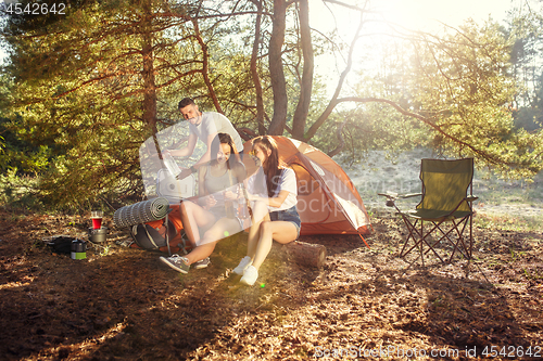 Image of Party, camping of men and women group at forest. They relaxing