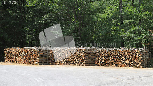 Image of Logging