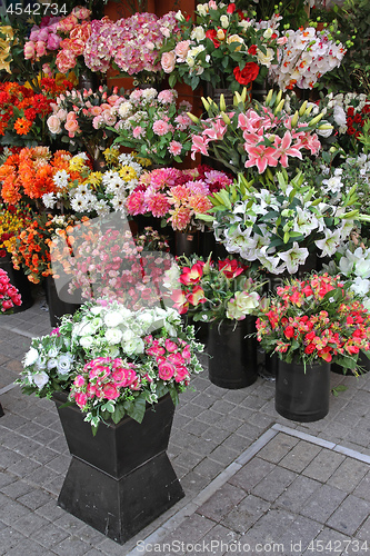 Image of Plastic Florist Shop