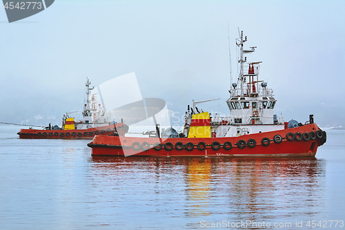 Image of Tugboats in the Port Aquatorium