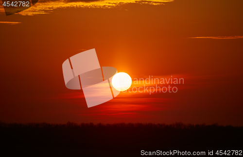 Image of Sunset over Forest