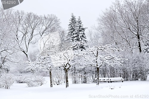 Image of Winter park landscape