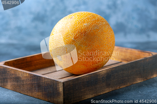 Image of Ripe yellow melon.