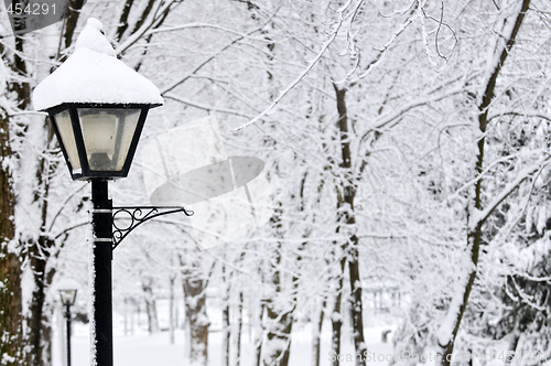 Image of Winter park