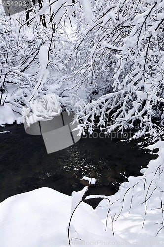 Image of Winter landscape