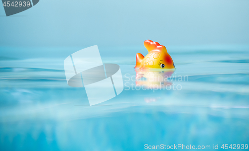 Image of Cute toy Fish taking bath in swimming pool