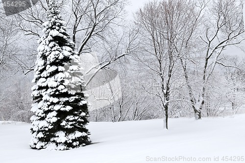 Image of Winter park landscape