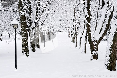 Image of Lane in winter park