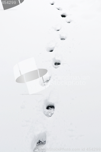 Image of Footprints in snow