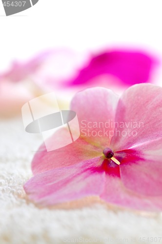 Image of Gentle flower on luxury towel