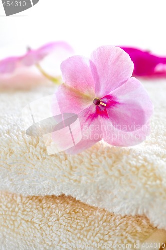 Image of Gentle flower on luxury towel