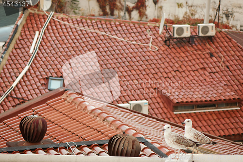 Image of roof part of old building in istanbul