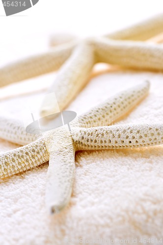 Image of Starfish and towels