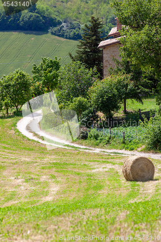 Image of Scenery in Marche Italy with straw bale on a field 