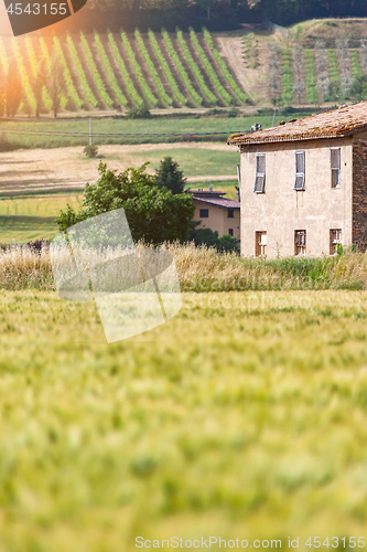 Image of landscape mood in Italy Marche