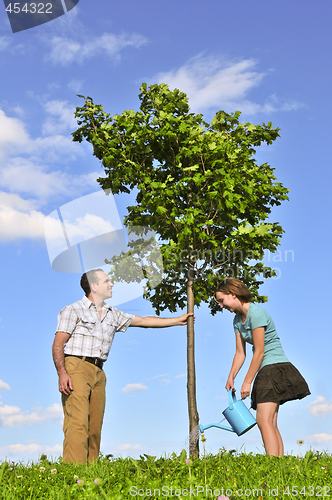Image of Planting a tree