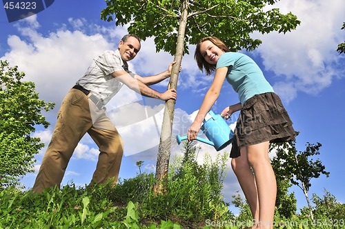 Image of Planting a tree