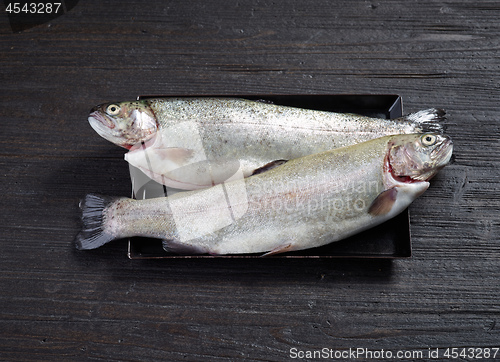 Image of fresh raw fishes