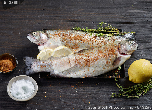 Image of fresh raw fishes