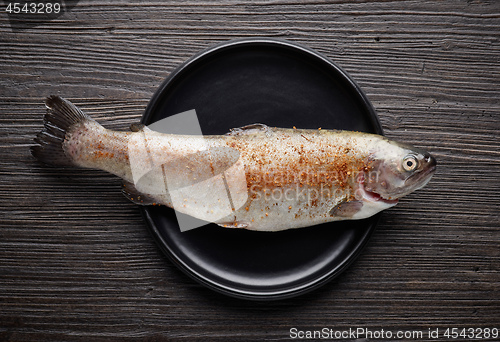 Image of fresh raw fish