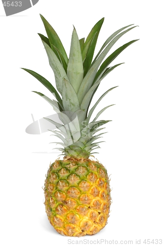 Image of Pineapple