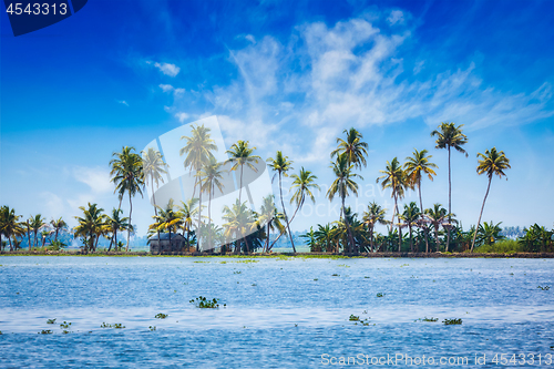 Image of Kerala backwaters