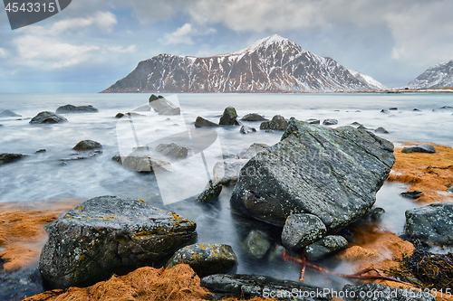 Image of Rocky coast of fjord in Norway