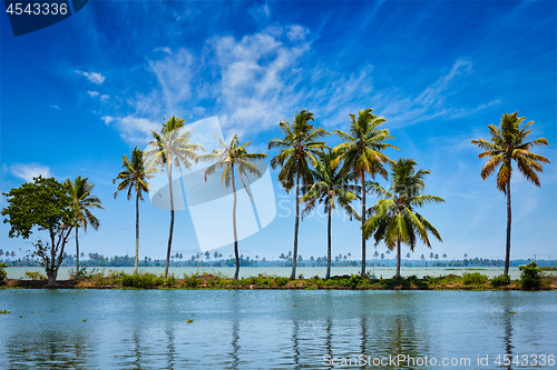 Image of Kerala backwaters