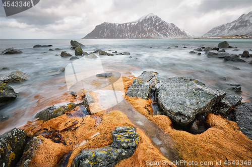 Image of Rocky coast of fjord in Norway