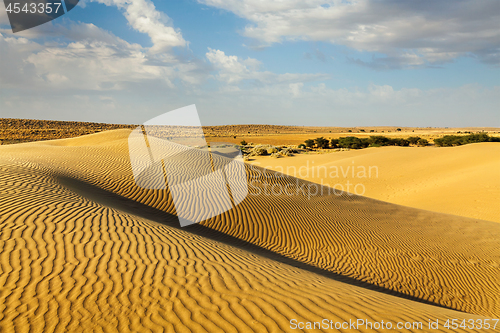 Image of Dunes of Thar Desert, Rajasthan, India