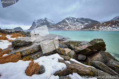 Image of Rocky coast of fjord in Norway