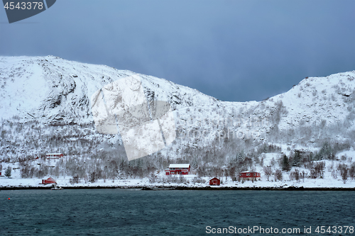 Image of Rd rorbu houses in Norway in winter