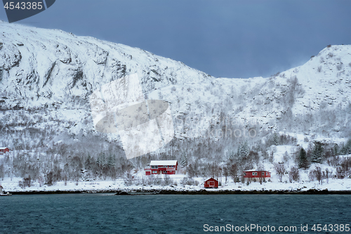 Image of Rd rorbu houses in Norway in winter