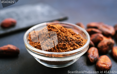 Image of cocoa beans and cocoa powder