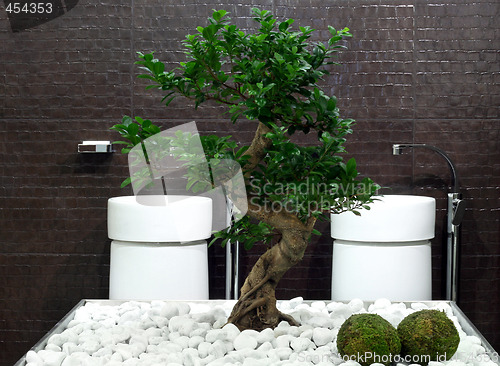 Image of Bonsai bath