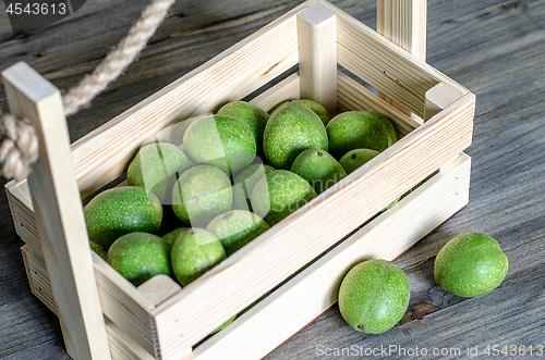 Image of Young green fruits of walnuts in a green shell in a wooden box.